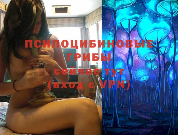 сатива Абинск