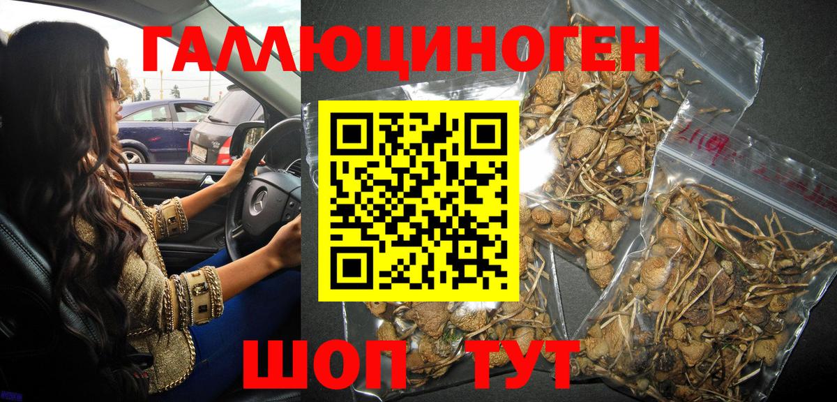 Галлюциногенные грибы мицелий  Вход с VPN  Азнакаево 