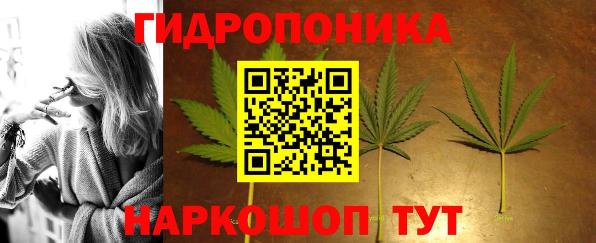 Бошки Шишки планчик Азнакаево